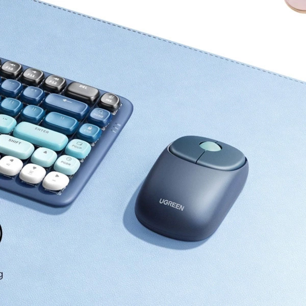 Computer Accessories